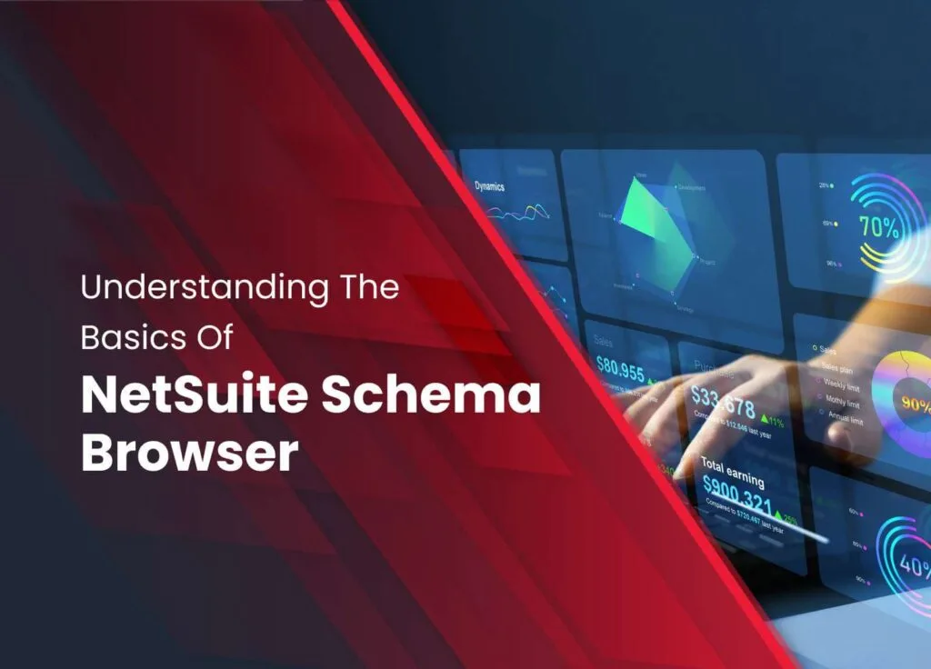 NetSuite Schema Browser