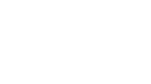 AVS Companies