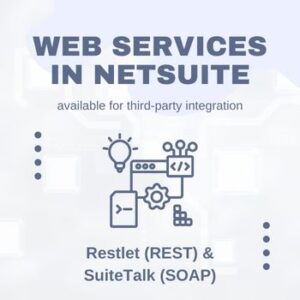 NetSuite Database Schema Browser | Understanding the Basics