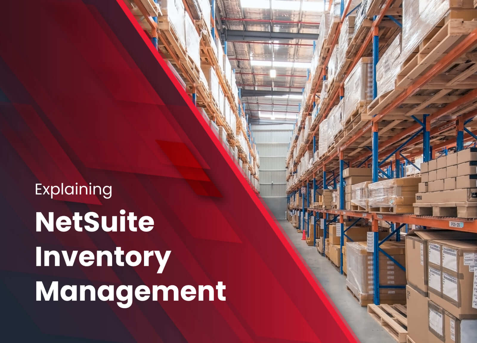 NetSuite Inventory Management