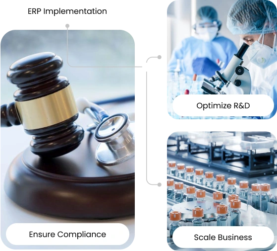 netsuite-for-biotech-and-pharma