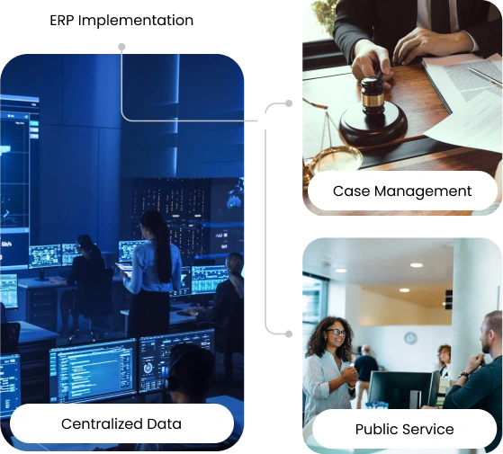 netsuite-for-government