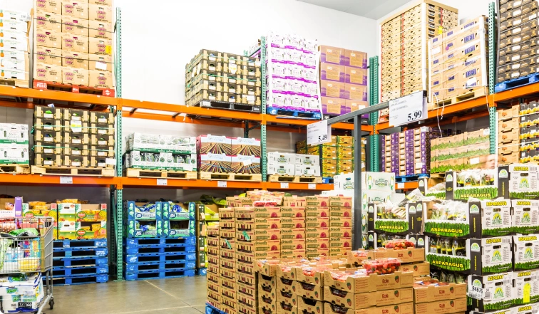 why-netsuite-is-the-go-to-erp-for-wholesale-distribution-businesses