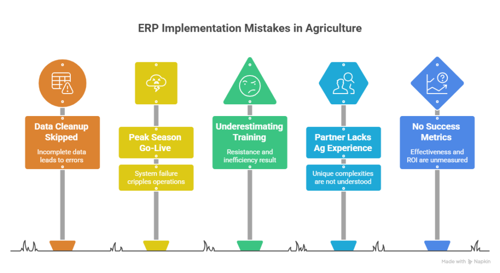 ERP Implementation