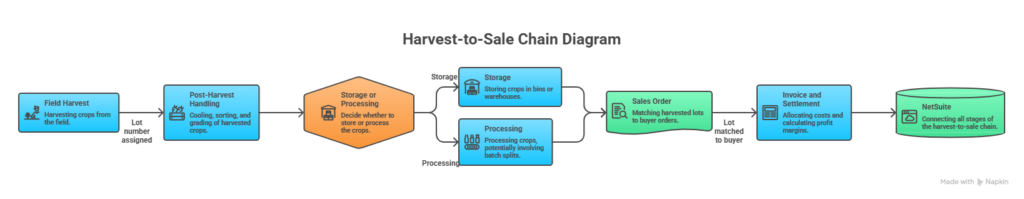 Harvest to sale chain diagram showing lot tracking from field harvest through storage processing sales order and invoice in NetSuite