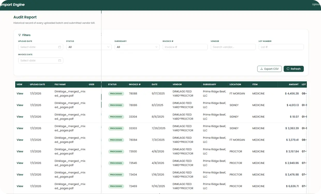 Audit report