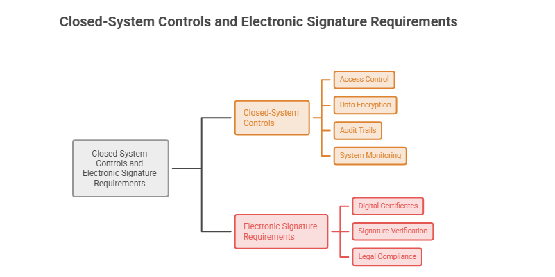 Checklist graphic covering the four closed-system controls and three electronic signature requirements
