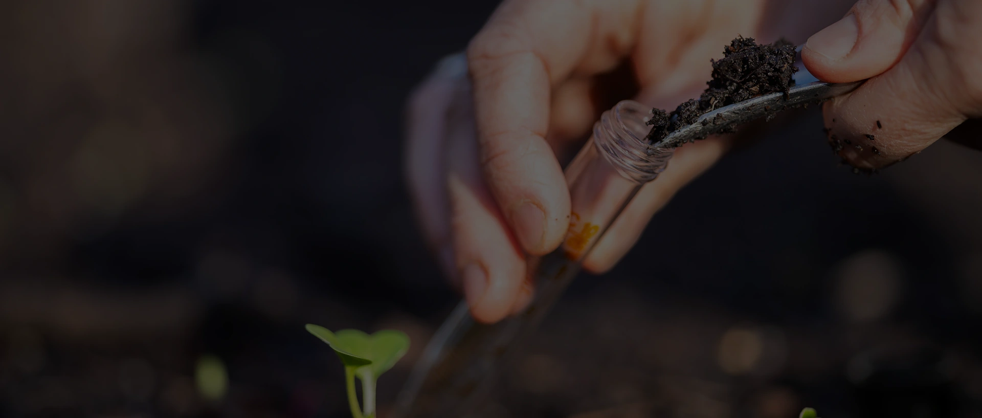 Quonset Soil Solutions