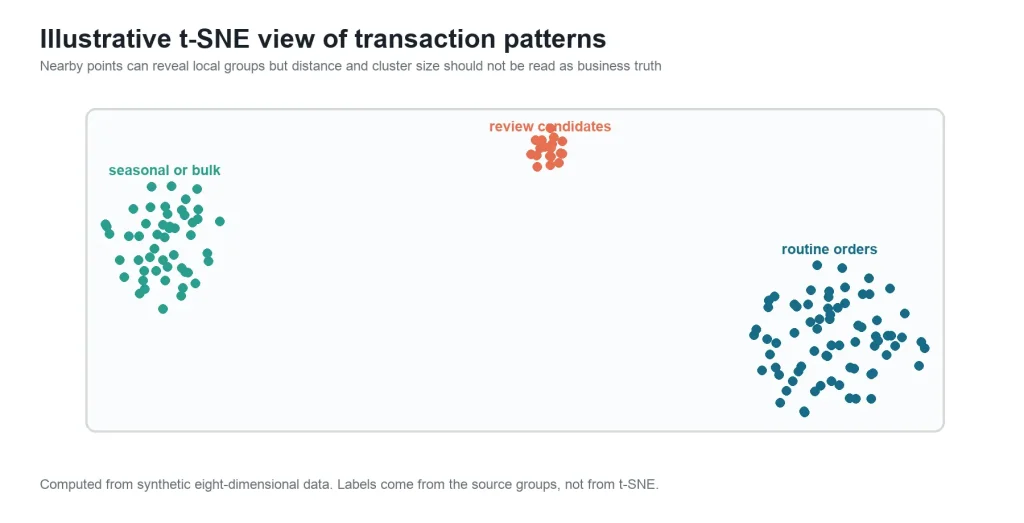 Illustrative t-SNE view of Transaction patters
