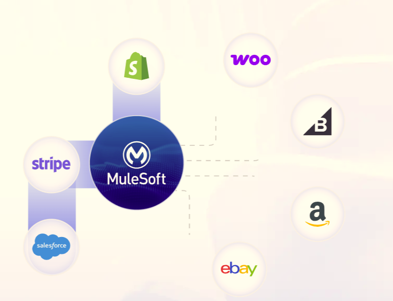 MuleSoft Connect With NetSuite